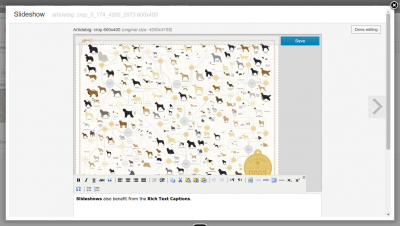 Slideshows can also make use of rich text captions. 